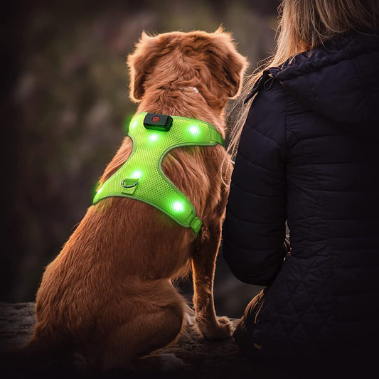 Flashseen LED Dog Harness – High Visibility, Rechargeable, and Comfortable for Night Walks and Outdoor Activities Suit for Small Medium Large Dogs (Green, S)